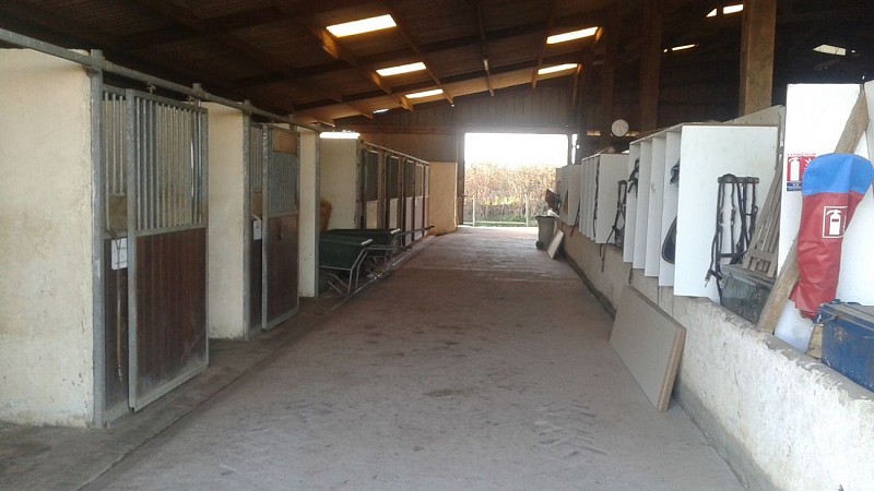 DOMAINE D'EPONA - CENTRE EQUESTRE