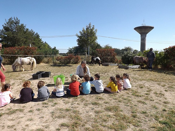 DOMAINE D'EPONA - CENTRE EQUESTRE
