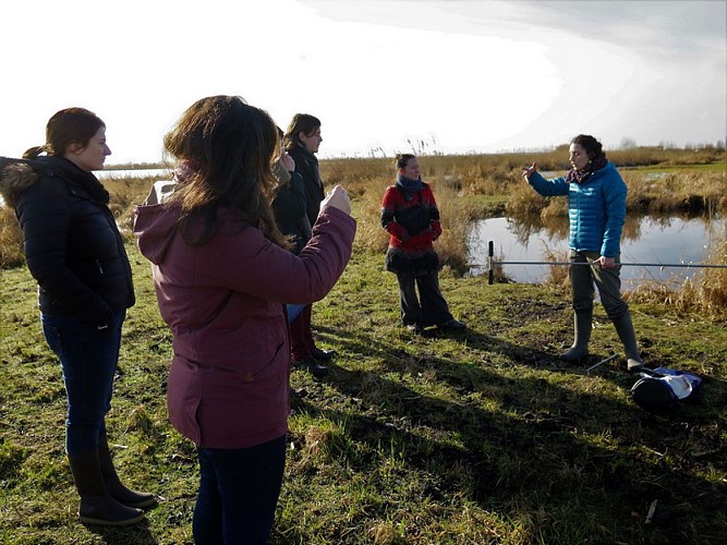 RÉSERVE NATURELLE RÉGIONALE MARAIS DE BRIÈRE - SITE PIERRE CONSTANT