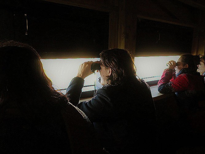 RÉSERVE NATURELLE RÉGIONALE MARAIS DE BRIÈRE - SITE PIERRE CONSTANT