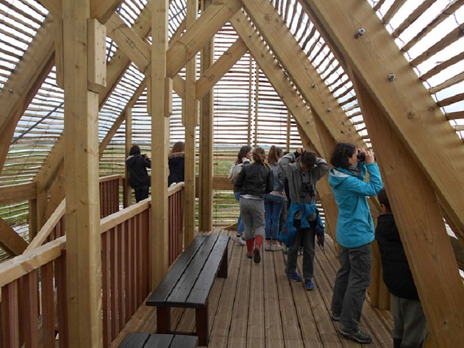 RÉSERVE NATURELLE RÉGIONALE MARAIS DE BRIÈRE - SITE PIERRE CONSTANT