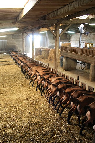 FROMAGERIE LE PURDEAU