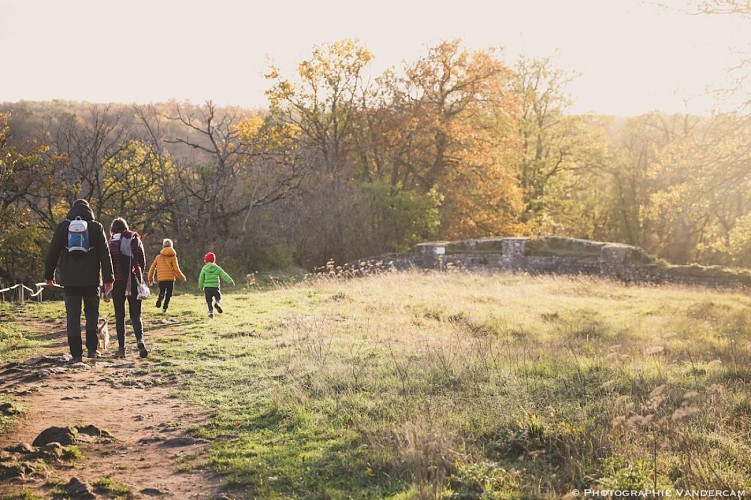 000020095-WBT - Christophe Vandercam-Balade familiale au parc de Furfooz