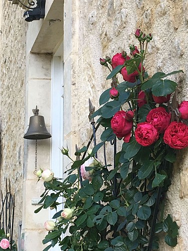 CHAMBRES D'HÔTES LE TILLEUL