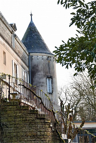 instasize_250107120447