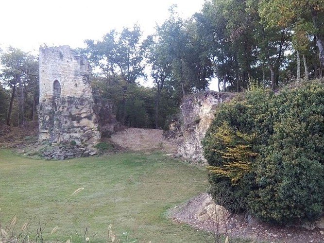 Vieux-chateau-Roquefort-2