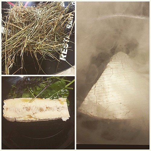 brie fumé et farcie au noix l'ogustin