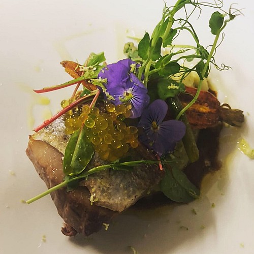 bonite à la tomate l'ogustin