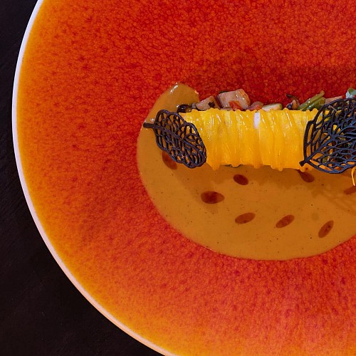 L'élixir des sens 2