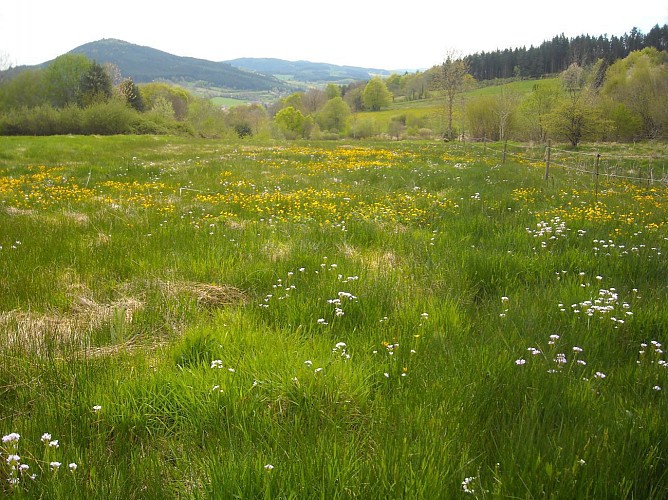 Chenelette - La Roche d'Ajoux