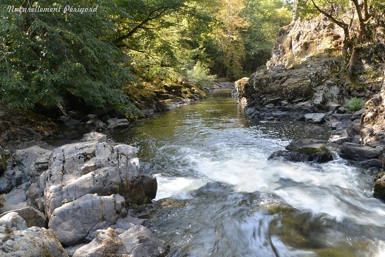 Gorges de l'Auvézère