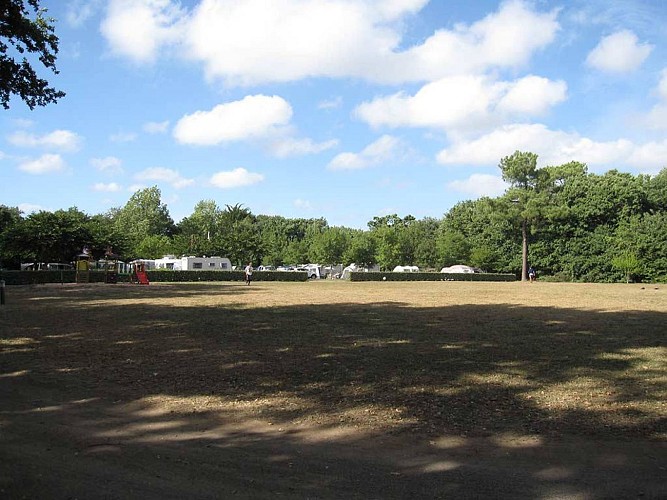 Emplacements au Camping Le Bois du Bouquet