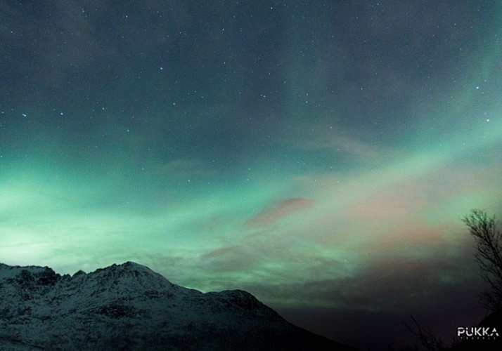 Aurora Borealis Viewing Tour by Minibus - Departure from Tromso