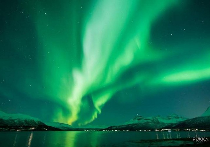 Excursion en minibus à la découverte des aurores boréales - Au départ de Tromso