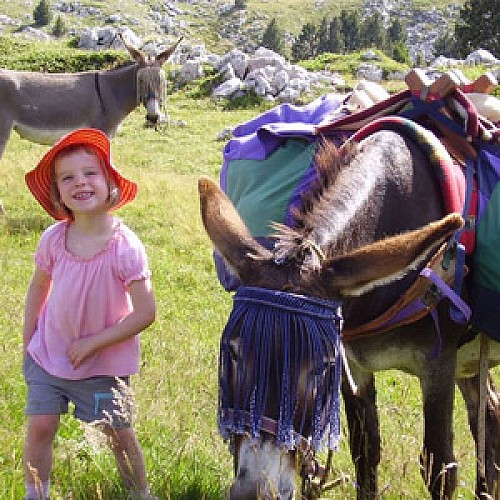 Rando d'âne du Vercors