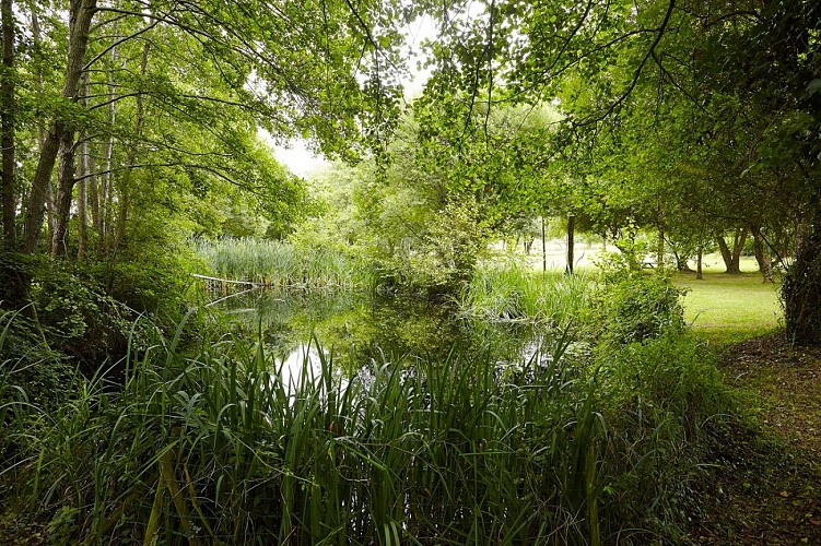 UN PETIT COIN DE CAMPAGNE, DANS LE PAYS DE SAINT-GILLES