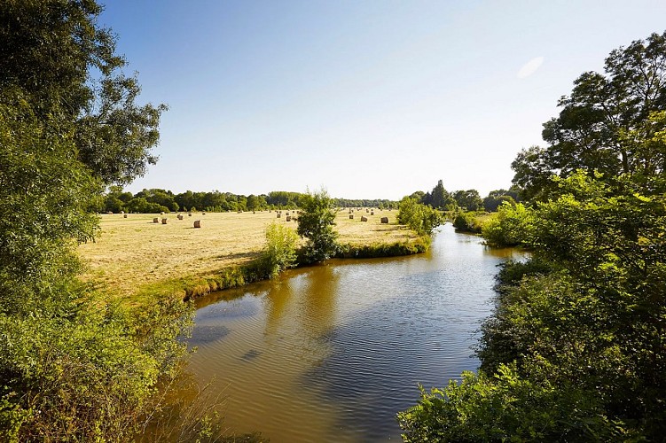 UN PETIT COIN DE CAMPAGNE, DANS LE PAYS DE SAINT-GILLES