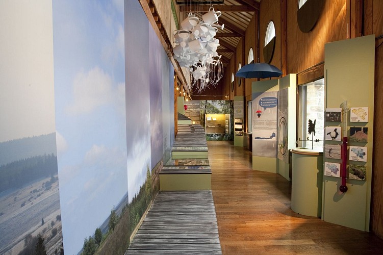 Parc Naturel Hautes Fagnes Eifel - Waimes - Vue intérieure