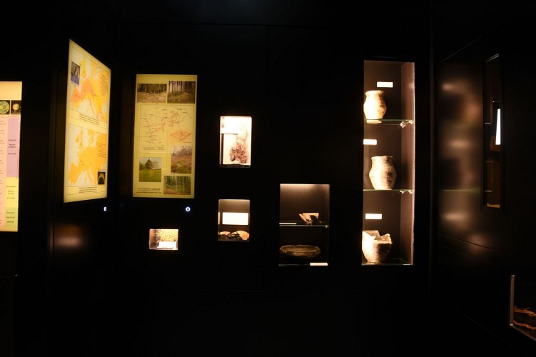 St_Vith_Musee_de_la_vie_régionale_Zwischen_venn_und_Schneifel_Geschichtsmuseum_ZVS_Museum_Kelten&amp;Roemer_01_©_Luka_Hennen[1]