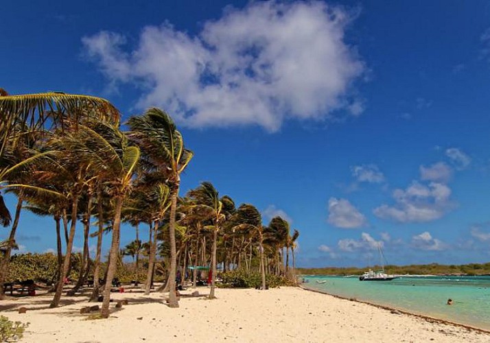 Croisière d'une journée en catamaran aux îles de Petite Terre - Au départ de Saint-François
