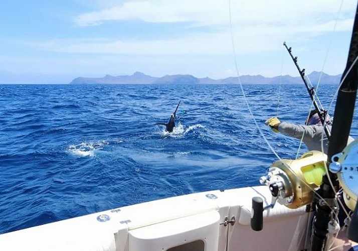 Pêche au gros au large de la Guadeloupe - Au départ de Bouillante
