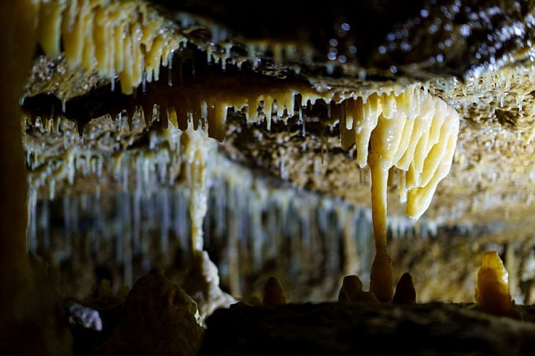 Grottes de Hotton - Bon plan - A visiter à proximité de la balade