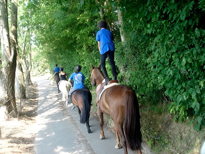 Poney Club du Moulin Bourg Ouilly du Houley promenades