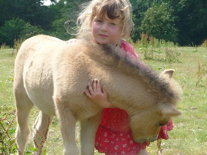 Poney Club du Moulin Bourg Ouilly du Houley poney