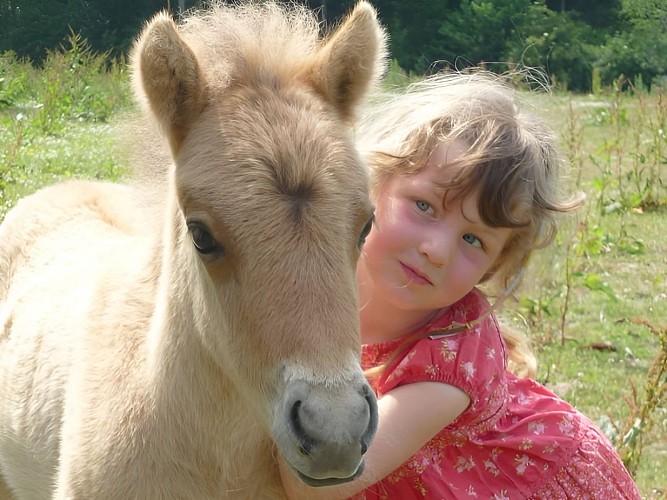 Poney Club du Moulin Bourg Ouilly du Houley ponay avec enfant