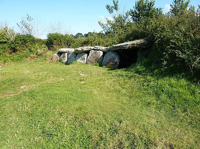 Allée couverte et dolmen de Kerguntuil