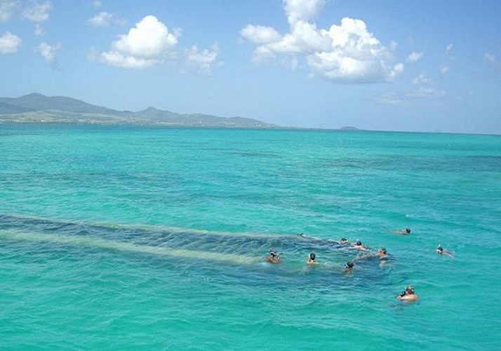 Croisière d'une journée en catamaran dans la baie de Grand Cul de Sac Marin - Au départ de Baie-Mahaut