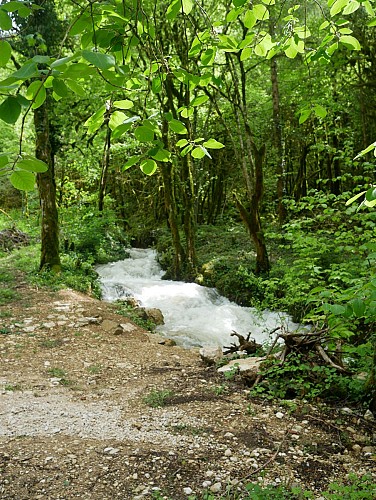 Pisse-Vache Waterfall
