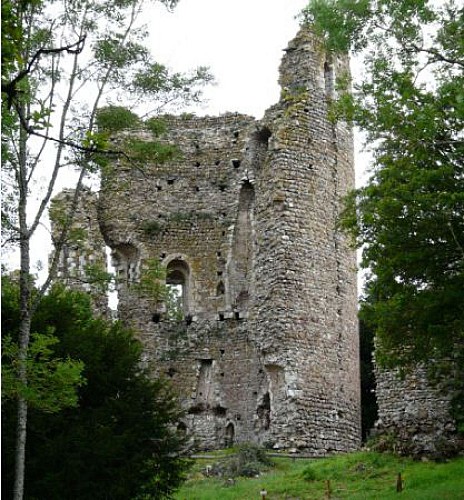 Vestiges du château féodal de Fréteval