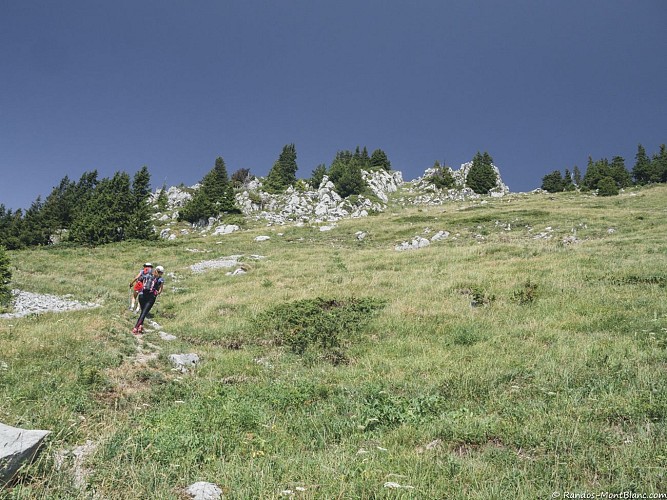 De Col de Vernaz