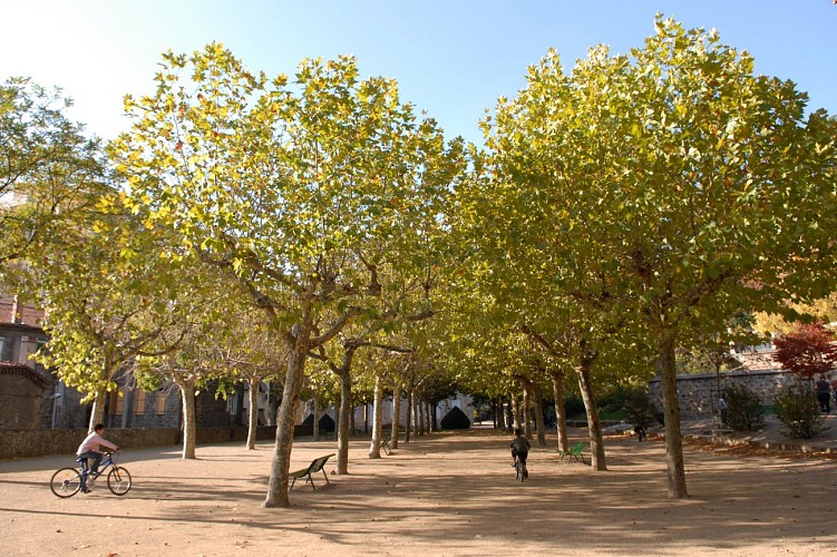Parc des Platanes