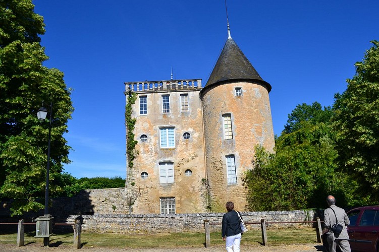 Château de Saint Martin  