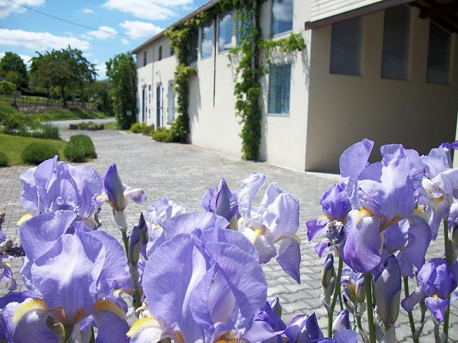 la-foret-sur-sevre-chambres-dhotes-le-jardin-de-prunelle-facade1