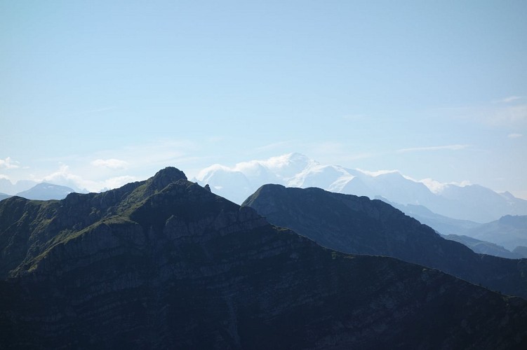 Kasteel van Tavaneuse