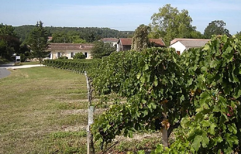 domaine-des-grandes-cotes2