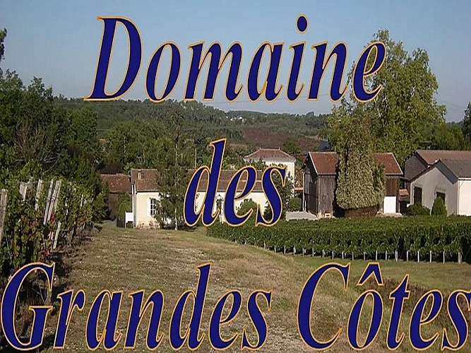 domaine-des-grandes-cotes