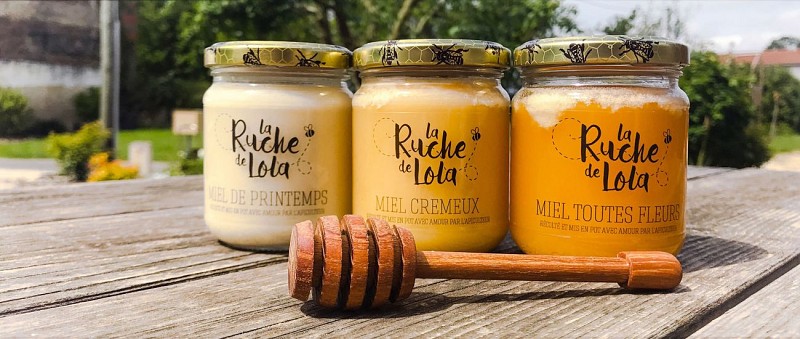 Ruche Lola Miel degustation Massais Val en vignes Thouarsais Deux Sevres