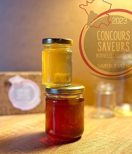 Ruche Lola Miel degustation Massais Val en vignes Thouarsais Deux Sevres