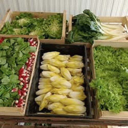 Jardins de la Tourette Fruits legumes degustation Mauze Thouars Thouarsais 