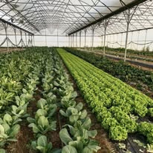 Jardins de la Tourette Fruits legumes degustation Mauze Thouars Thouarsais 