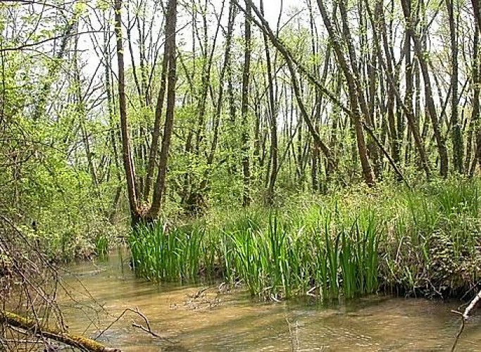 La-Vallee-de-l-Ourbise