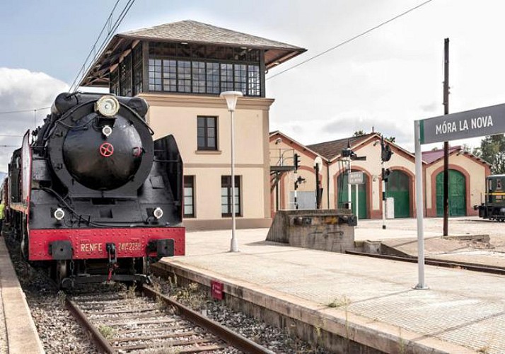 Conduite d'une locomotive au Musée Ferroviaire - Mora la Nova - En français