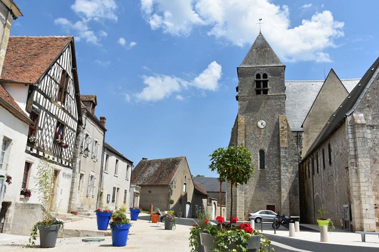 Beaulieu sur Loire église St Etienne - 15 juillet 2018  - OT Terres de Loire et Canaux - IRémy (11)
