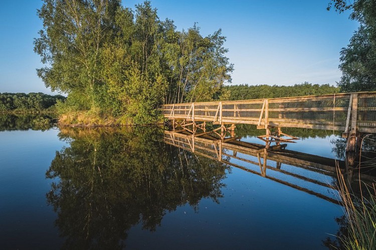 PÊCHE A L'ÉTANG DE GRUELLAU