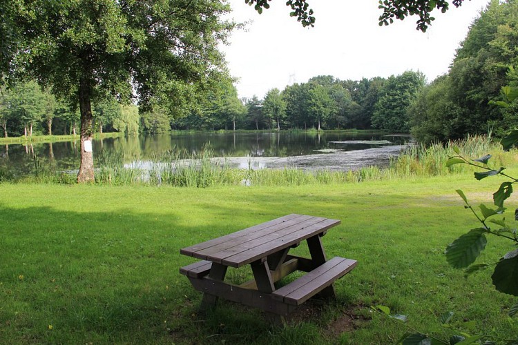 PIQUE NIQUE - ÉTANG DE LA RINAIS