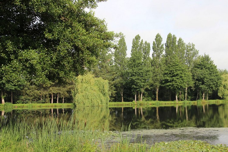 PIQUE NIQUE - ÉTANG DE LA RINAIS